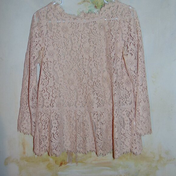 Joie Floral Lace Blouse Top Womens Small Boho Textured Back Button Long Sleeve - Picture 10 of 13